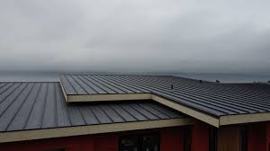 Best Green or Eco-Friendly Roofing Solutions  in East Meadow, NY